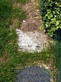 image of grave number 82726